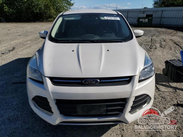 1FMCU9G96EUE14325 2014 FORD ESCAPE photo no. 5
