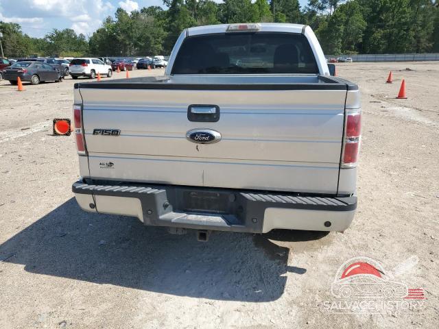 1FTEW1C80AFD62226 2010 FORD F-150 photo no. 6