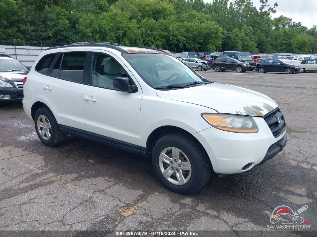 5NMSG73D49H256215 2009 HYUNDAI SANTA FE photo no. 20