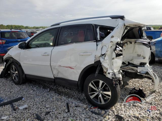 JTMRFREV5JJ739441 2018 TOYOTA RAV4 photo no. 2