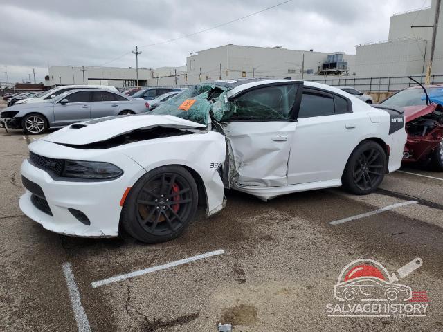 2C3CDXGJ8JH200375 2018 DODGE CHARGER photo no. 6