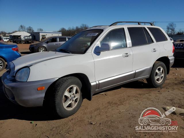 KM8SC13D93U411202 2003 HYUNDAI SANTA FE photo no. 1
