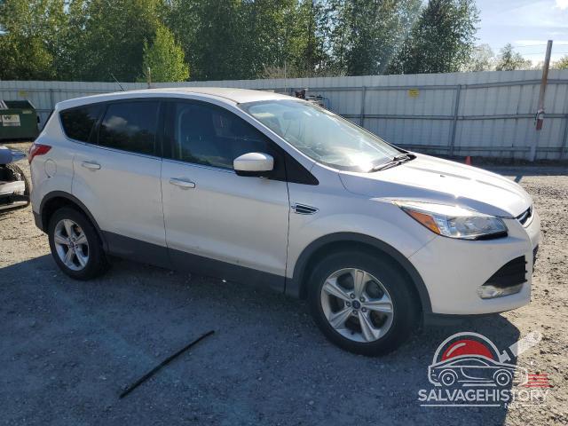 1FMCU9G96EUE14325 2014 FORD ESCAPE photo no. 4
