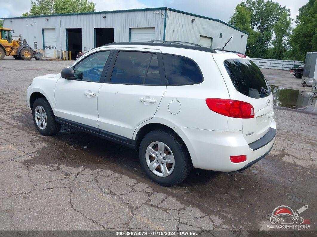 5NMSG73D49H256215 2009 HYUNDAI SANTA FE photo no. 3