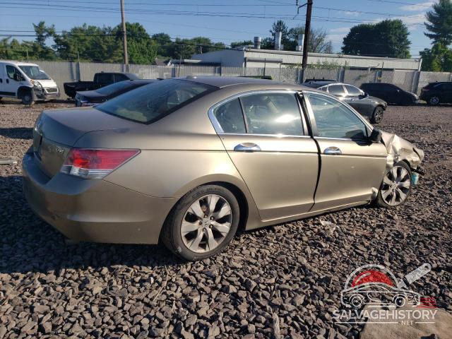 5KBCP3F82AB005891 2010 HONDA ACCORD photo no. 3