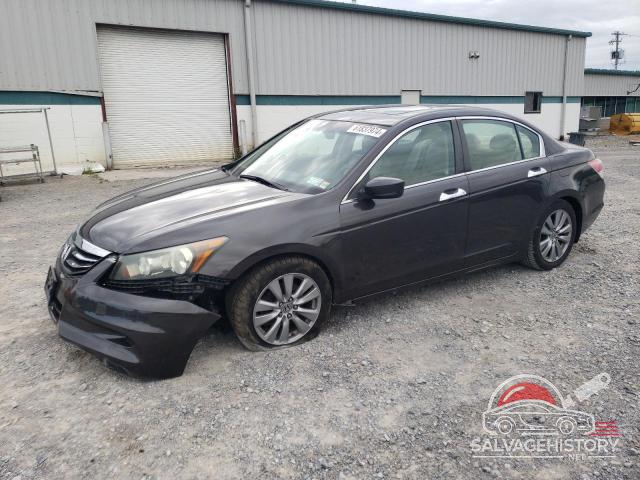 1HGCP3F85BA025790 2011 HONDA ACCORD photo no. 2
