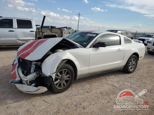 1ZVFT80N465160435 2006 FORD ALL Models photo no. 19