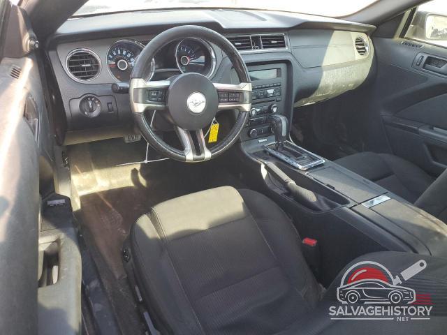 1ZVBP8AMXE5298360 2014 FORD ALL Models photo no. 8