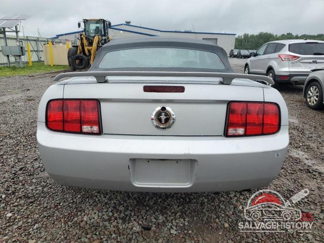 1ZVFT84NX65179856 2006 FORD ALL Models photo no. 6