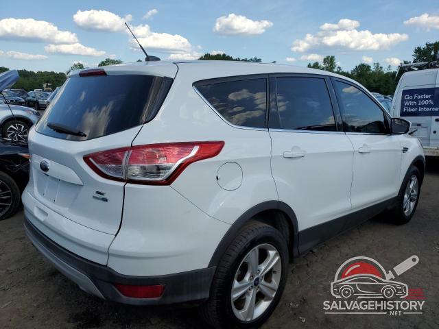 1FMCU9GXXEUC98934 2014 FORD ESCAPE photo no. 3