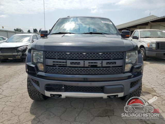 1FTEX1E69AFC95618 2010 FORD F-150 photo no. 5