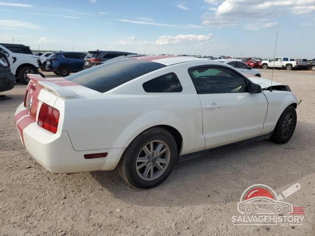 1ZVFT80N465160435 2006 FORD ALL Models photo no. 3