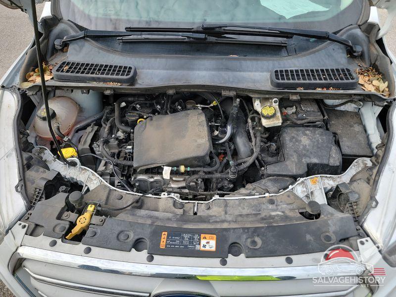 1FMCU0GD3KUC34599 2019 FORD ESCAPE photo no. 7