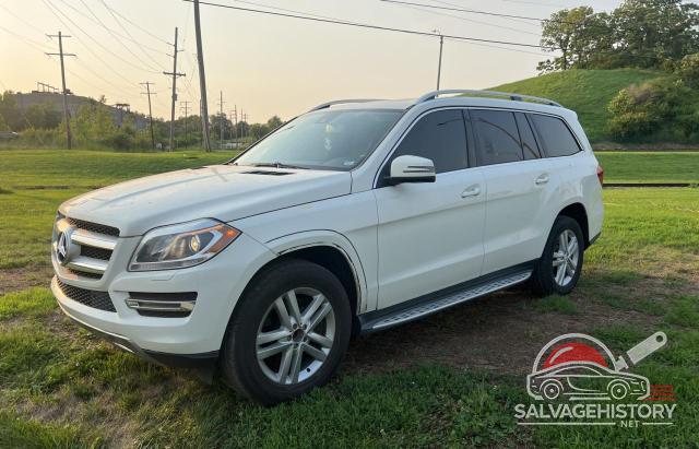 4JGDF7CE4DA167019 2013 MERCEDES-BENZ GL-CLASS photo no. 2