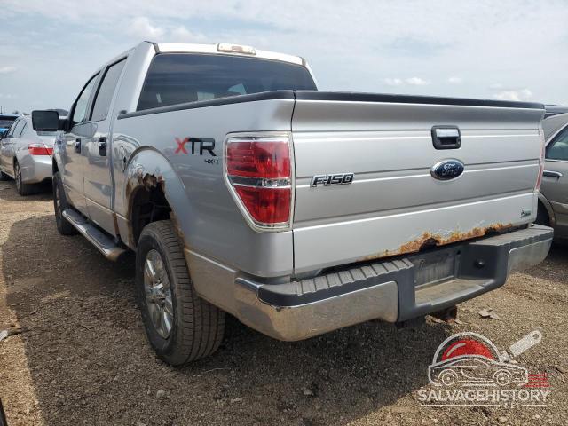 1FTFW1EV2AFC11802 2010 FORD F-150 photo no. 2