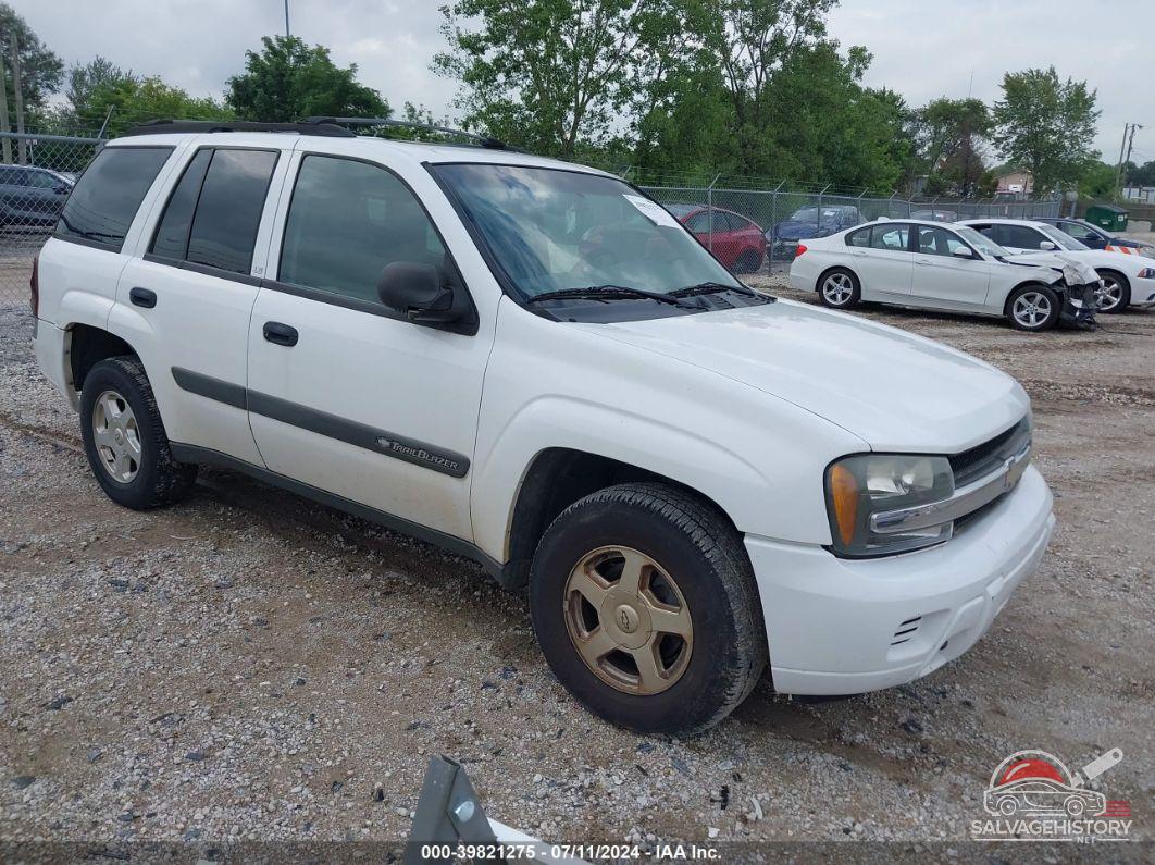 1GNDT13S132389291 2003 CHEVROLET TRAILBLAZER photo no. 7