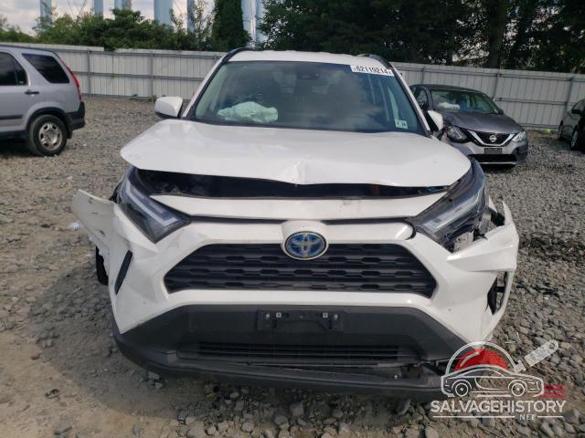 4T3RWRFV8PU099380 2023 TOYOTA RAV4 photo no. 5