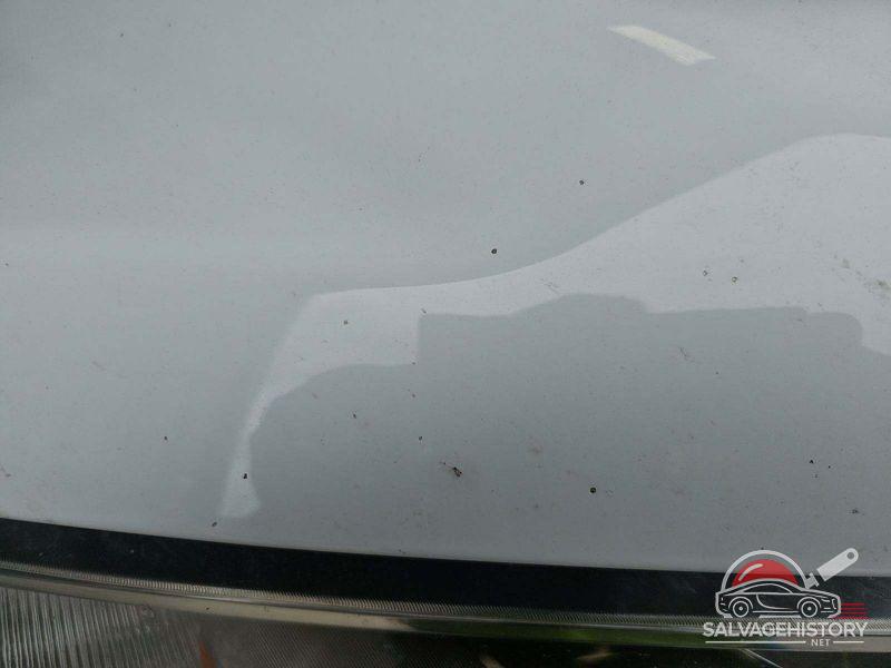 1FTEW1E56KKE38592 2019 FORD F-150 photo no. 10