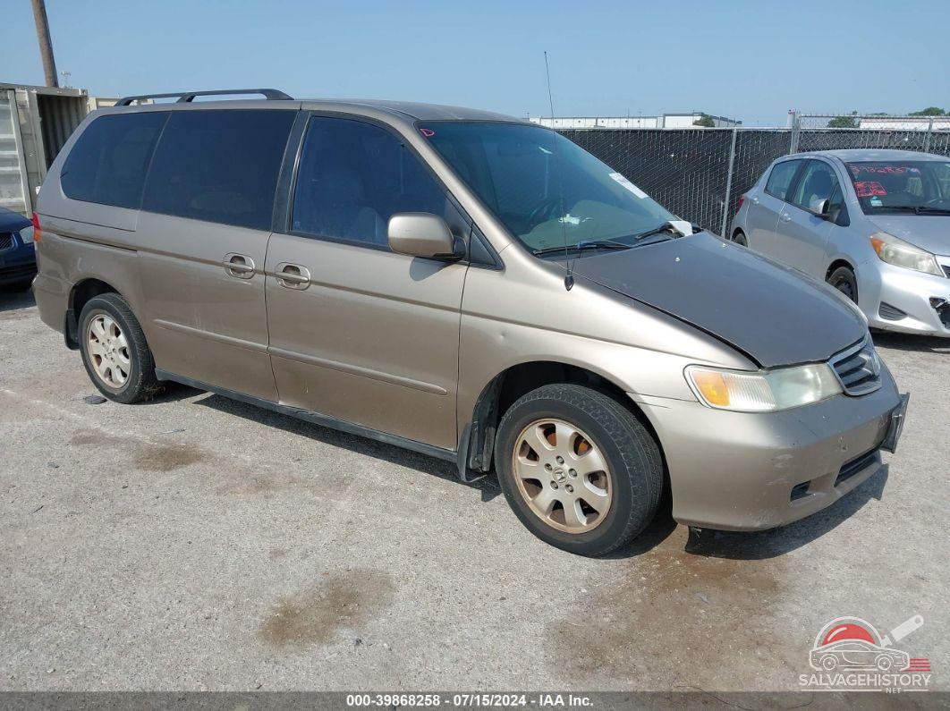 5FNRL18984B085054 2004 HONDA ODYSSEY photo no. 10