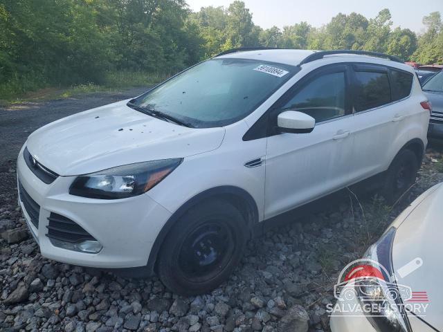 1FMCU0GX3EUC58013 2014 FORD ESCAPE photo no. 8