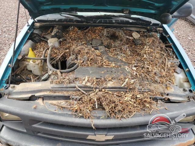 1GNDT13W8S2188733 1995 CHEVROLET BLAZER photo no. 11