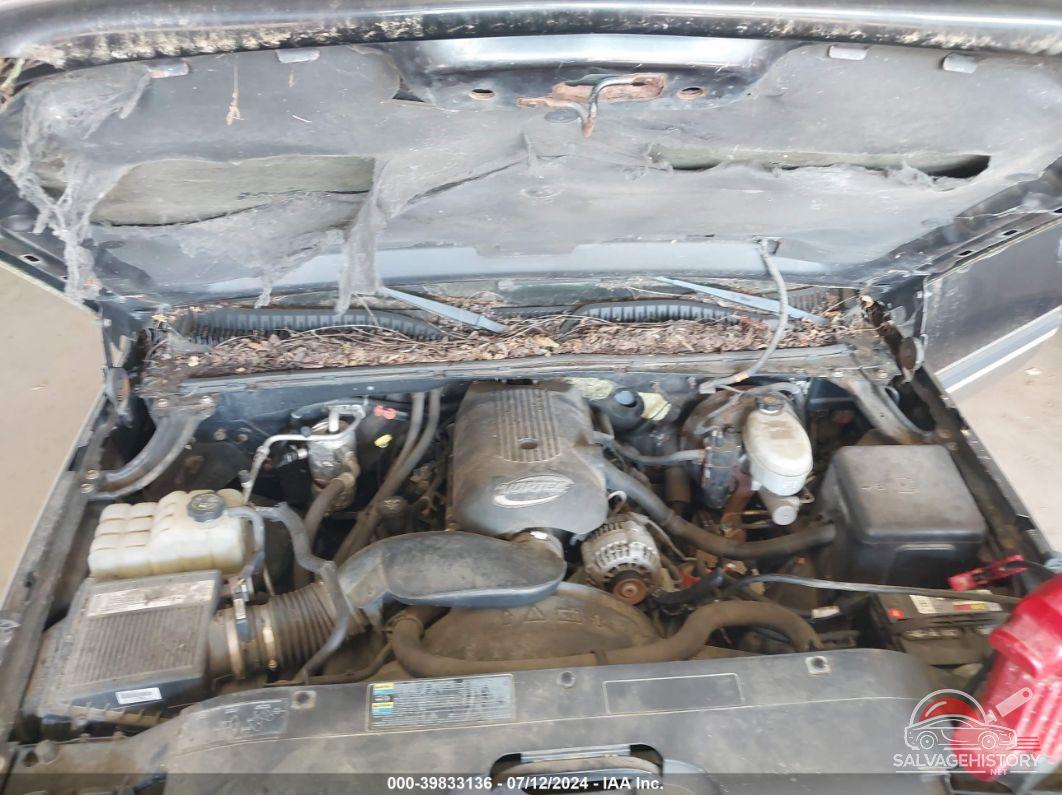 2GCEK19T531283197 2003 CHEVROLET SILVERADO 1500 photo no. 10