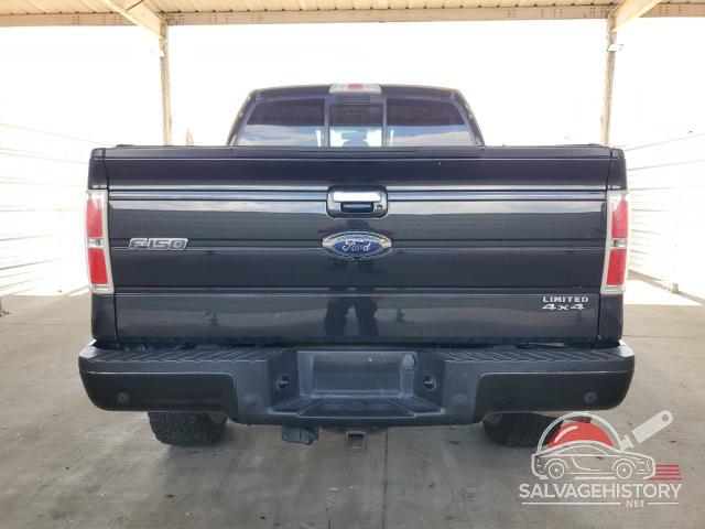 1FTFW1ETXDFA16730 2013 FORD F-150 photo no. 6