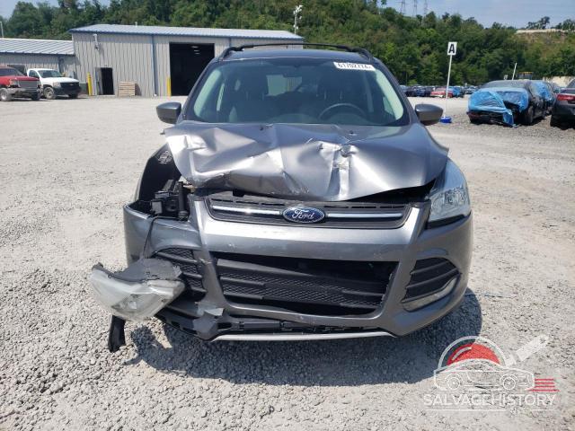 1FMCU0GX1DUA84943 2013 FORD ESCAPE photo no. 5