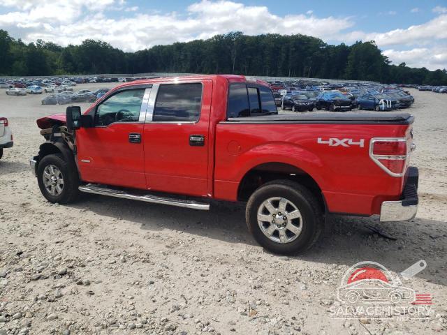 1FTFW1ET4DFA56639 2013 FORD F-150 photo no. 2