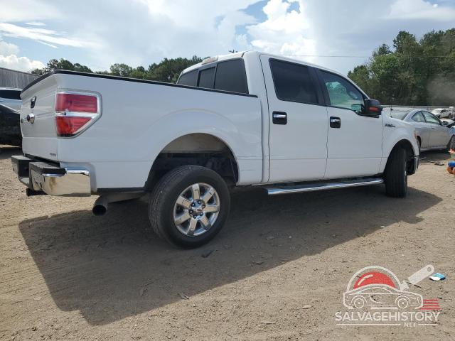 1FTFW1CF7DKG40392 2013 FORD F-150 photo no. 3