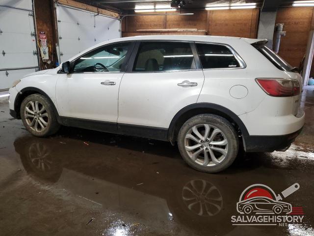 JM3TB3DV7B0317041 2011 MAZDA CX-9 photo no. 2