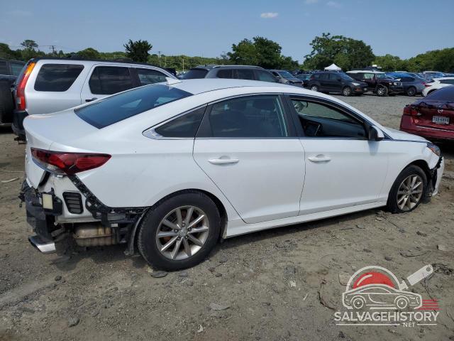 5NPE24AF4KH766376 2019 HYUNDAI SONATA photo no. 3