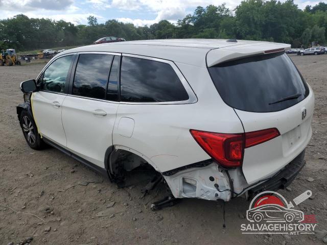 5FNYF6H54HB089184 2017 HONDA PILOT photo no. 2