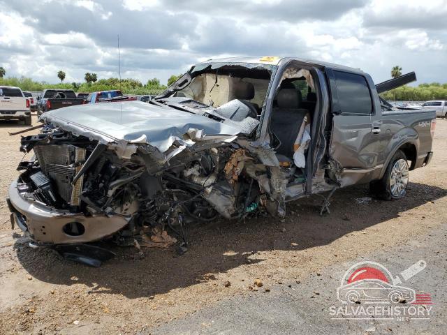 1FTFW1ET9DFB36681 2013 FORD F-150 photo no. 13