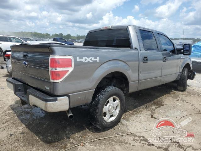 1FTFW1EV7AFC88861 2010 FORD F-150 photo no. 3
