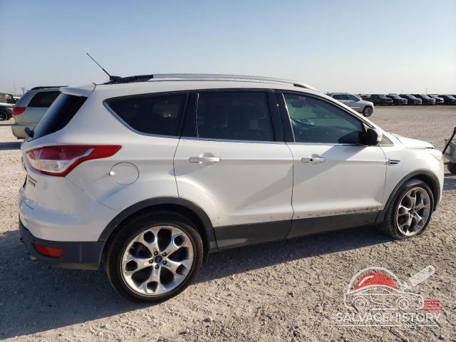 1FMCU0J94EUD94032 2014 FORD ESCAPE photo no. 3