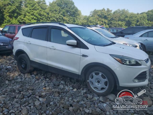 1FMCU0GX3EUC58013 2014 FORD ESCAPE photo no. 4