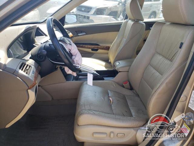 5KBCP3F82AB005891 2010 HONDA ACCORD photo no. 7