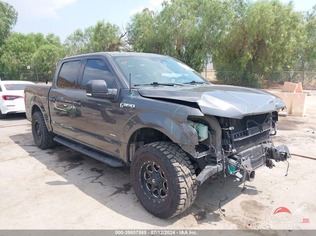 1FTEW1CP3FKD10479 2015 FORD F-150 photo no. 15