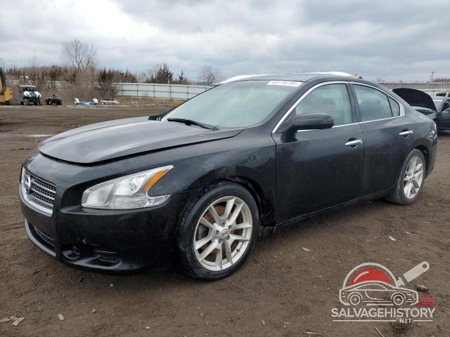 1N4AA5AP7BC835143 2011 NISSAN MAXIMA photo no. 7