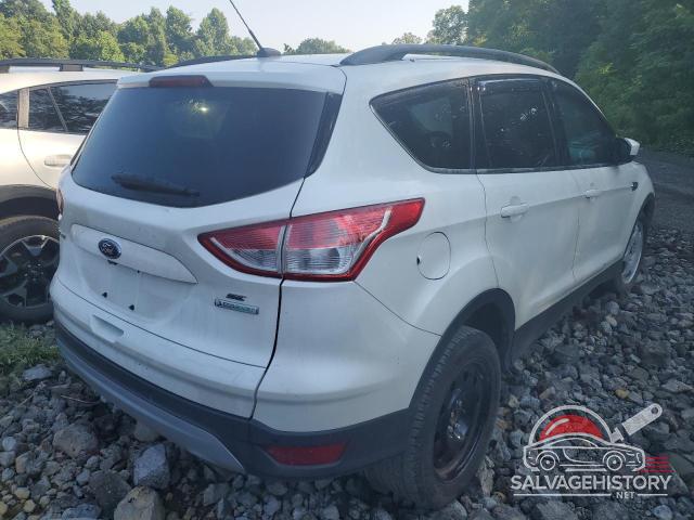 1FMCU0GX3EUC58013 2014 FORD ESCAPE photo no. 3