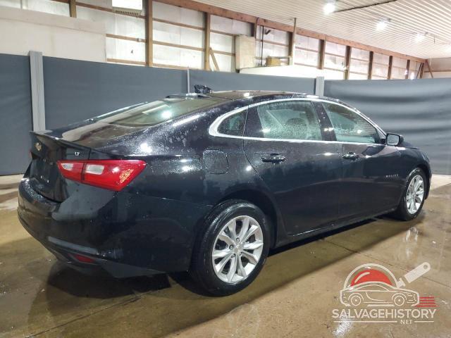 1G1ZD5ST1PF246684 2023 CHEVROLET MALIBU photo no. 3