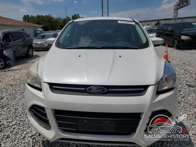 1FMCU0GX3EUD42834 2014 FORD ESCAPE photo no. 5
