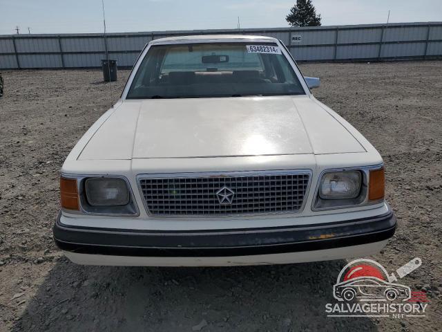 1P3BP36D1HF102027 1987 PLYMOUTH RELIANT photo no. 5