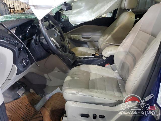 1FMCU0J90EUC29644 2014 FORD ESCAPE photo no. 7