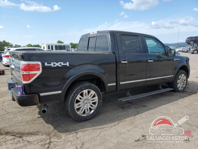 1FTFW1EV1AFC20720 2010 FORD F-150 photo no. 3