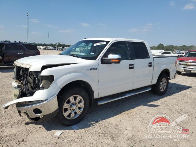 1FTFW1CV3AFD87597 2010 FORD F-150 photo no. 18