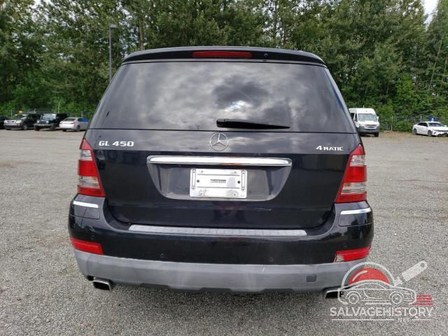 4JGBF71E39A479074 2009 MERCEDES-BENZ GL-CLASS photo no. 6