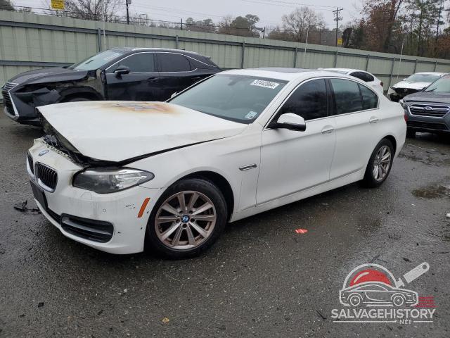 WBA5A5C56ED508008 2014 BMW 5 SERIES photo no. 3