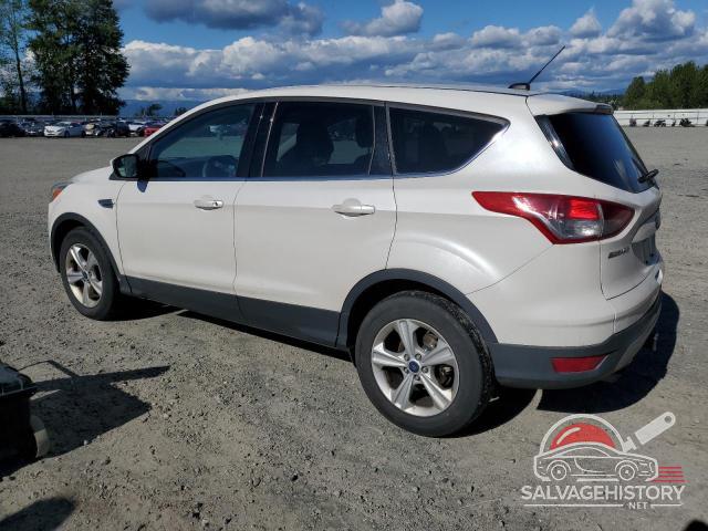1FMCU9G96EUE14325 2014 FORD ESCAPE photo no. 2